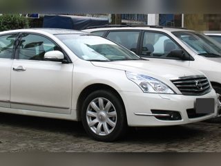 Example photo: white Nissan Teana